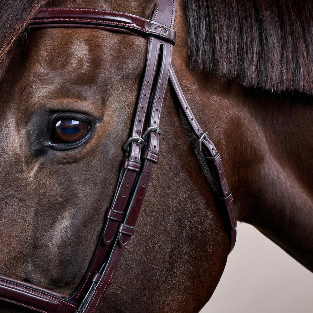 Flash Noseband Bridle NE | Dy'on | Versatile — Image 3