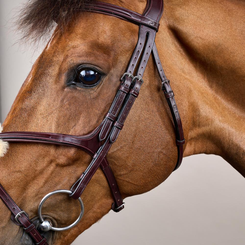 Figure 8 Noseband Bridle NE | Dy'on | control — Image 4
