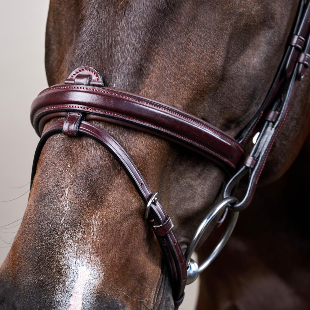 Flash Noseband Bridle NE | Dy'on | Versatile — Image 4