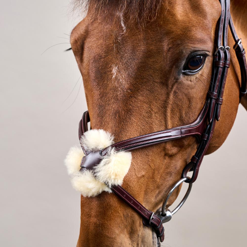 Figure 8 Noseband Bridle NE | Dy'on | control — Image 6
