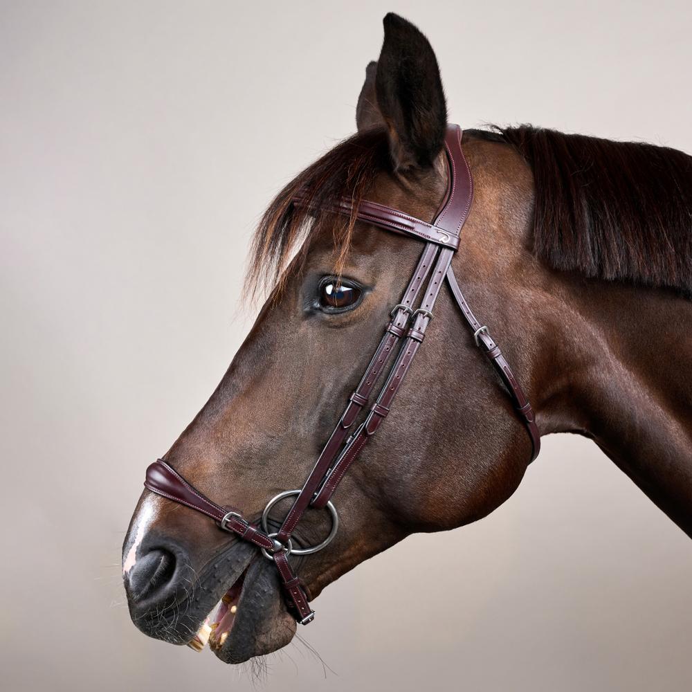 Adjustable Drop Noseband Bridle NE | Dy'on | Durability — Image 4