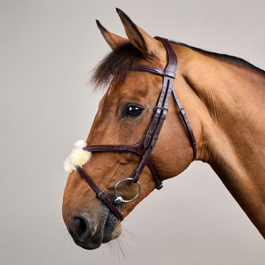 Figure 8 Noseband Bridle NE | Dy'on | control — Image 2