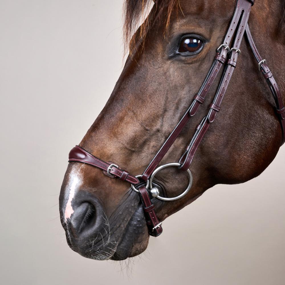 Adjustable Drop Noseband Bridle NE | Dy'on | Durability — Image 7