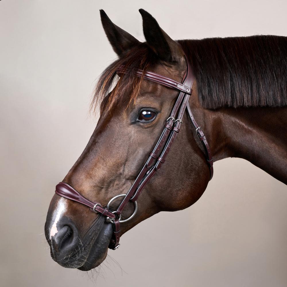 Adjustable Drop Noseband Bridle NE | Dy'on | Durability — Image 3