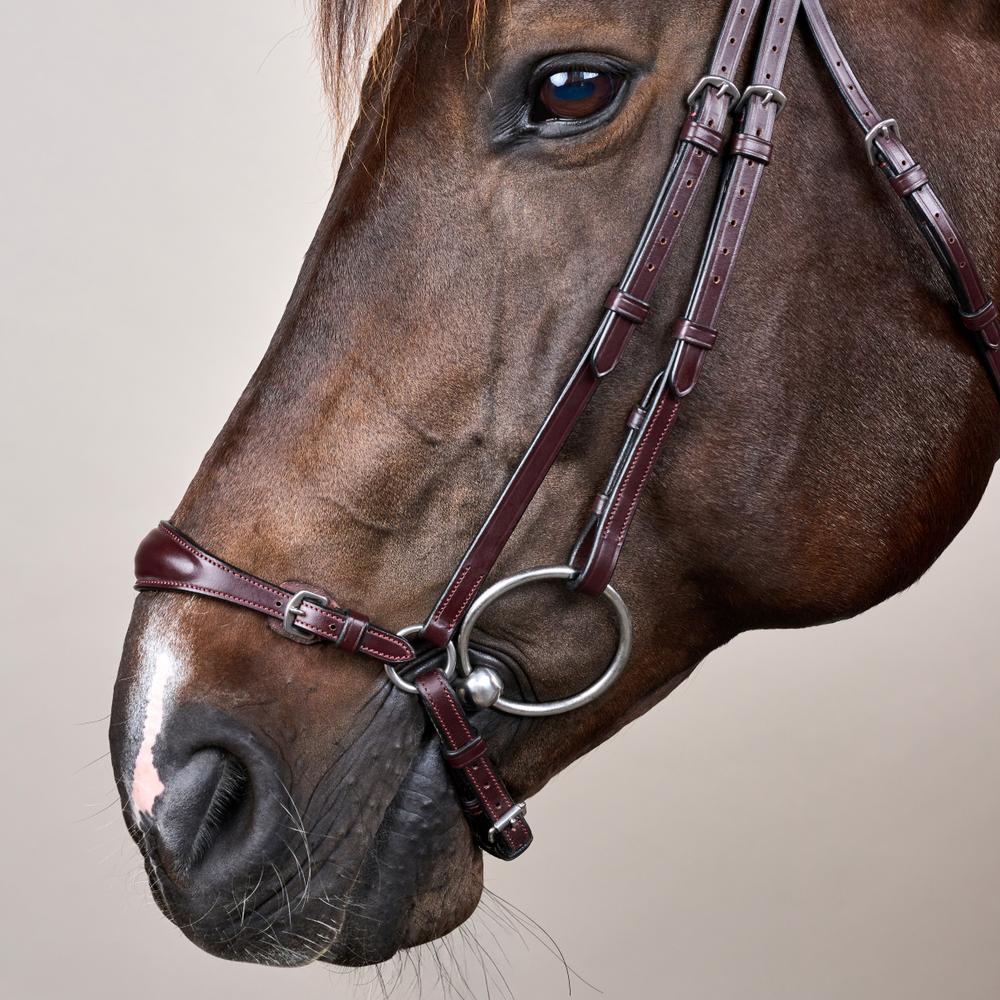 Adjustable Drop Noseband Bridle NE | Dy'on | Durability — Image 6
