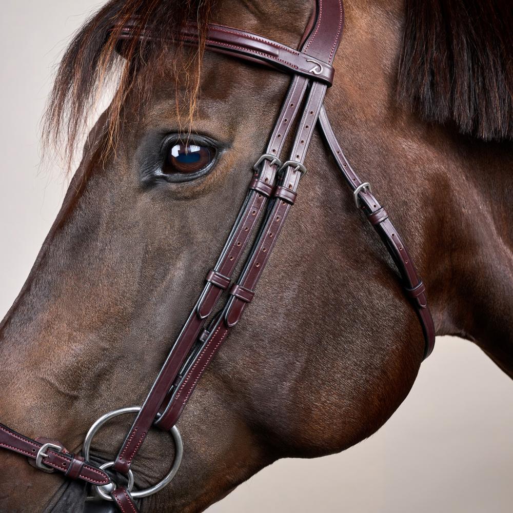 Adjustable Drop Noseband Bridle NE | Dy'on | Durability — Image 5