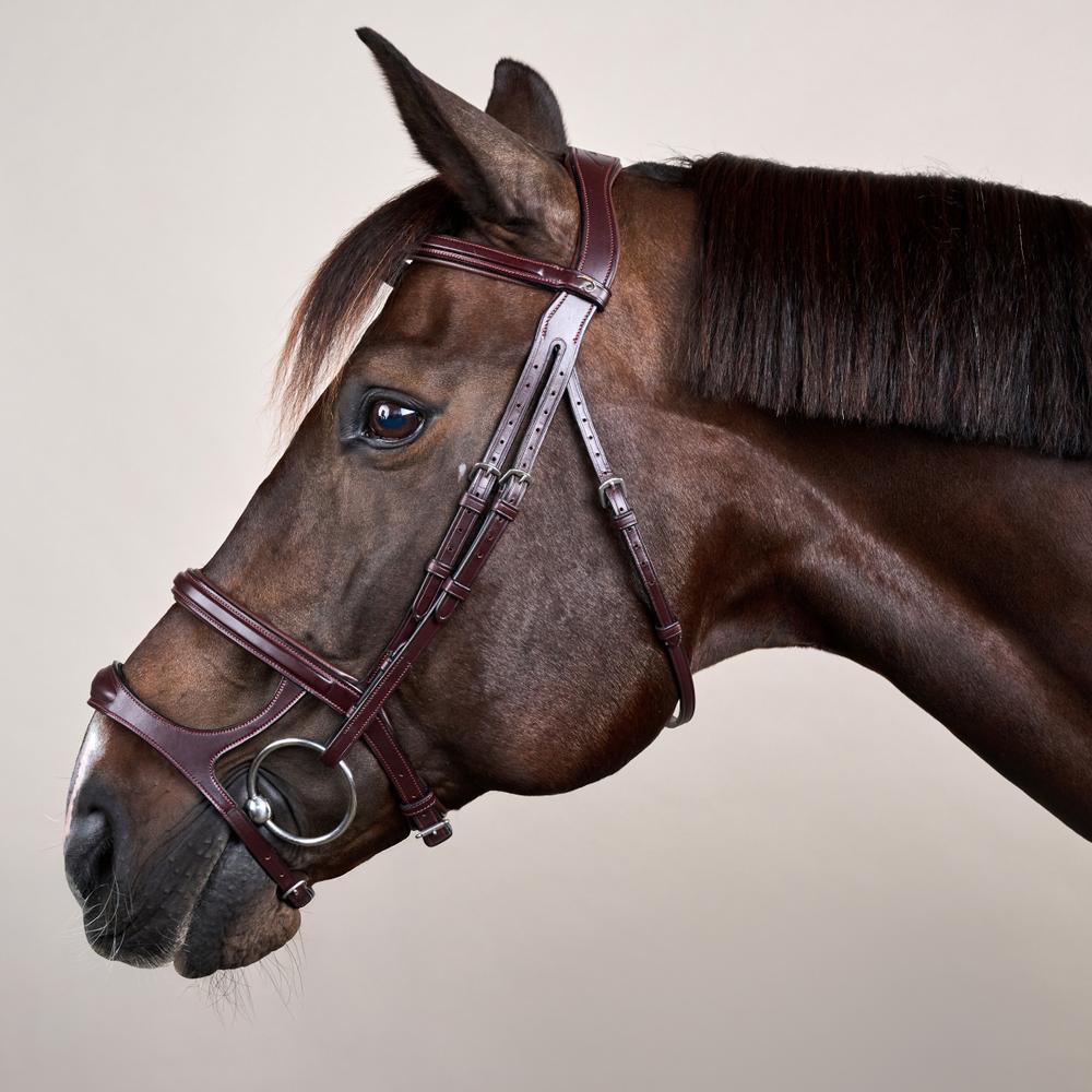 Double Noseband Bridle NE | Dy'on | premiumleather — Image 4