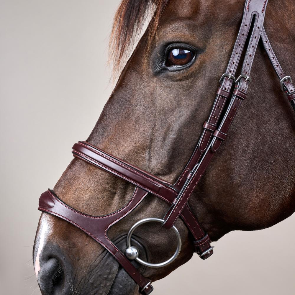 Double Noseband Bridle NE | Dy'on | premiumleather — Image 3