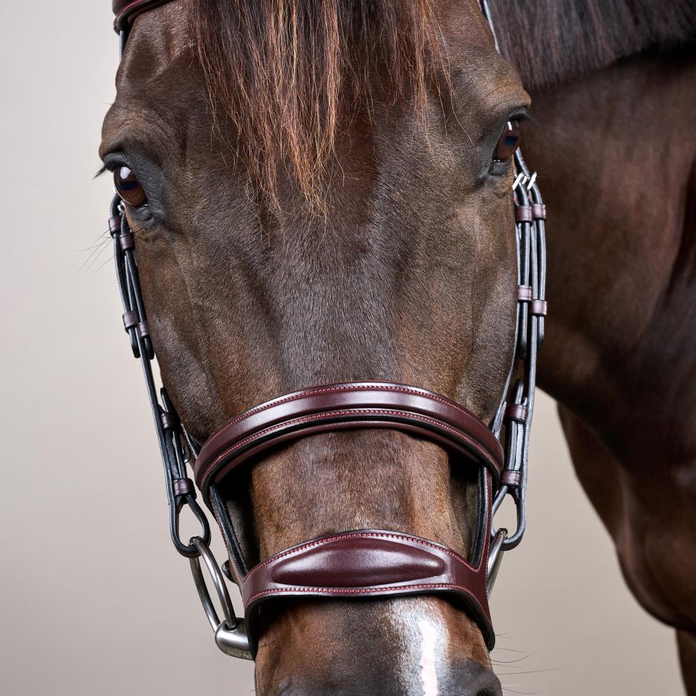 Double Noseband Bridle NE | Dy'on | premiumleather — Image 2