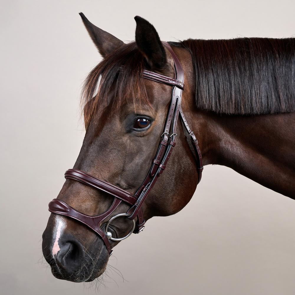 Double Noseband Bridle NE | Dy'on | premiumleather — Image 5