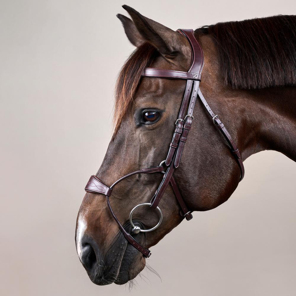 Hybrid Noseband Bridle NE |  | LuxuryLeather — Image 8
