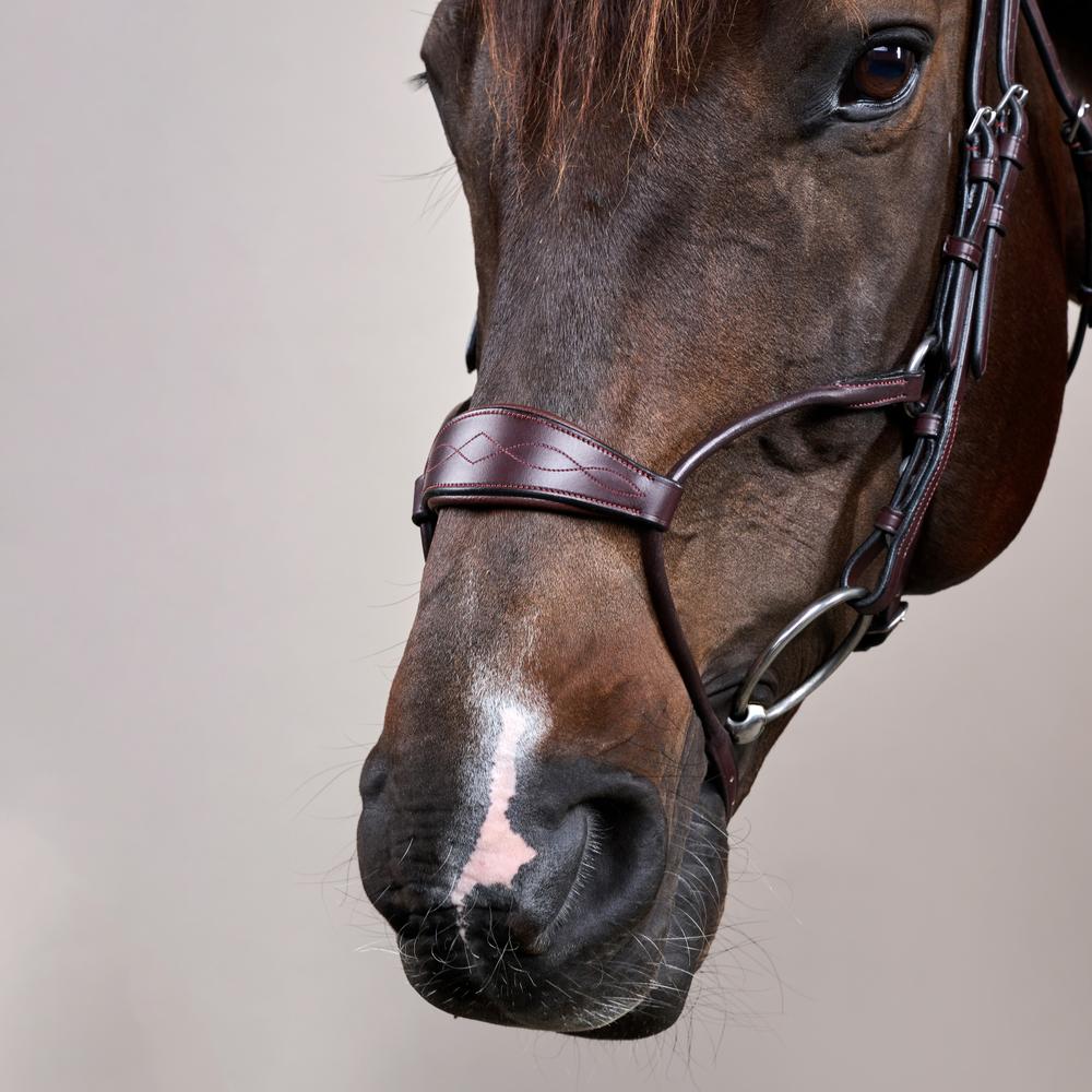 Hybrid Noseband Bridle NE |  | LuxuryLeather — Image 7