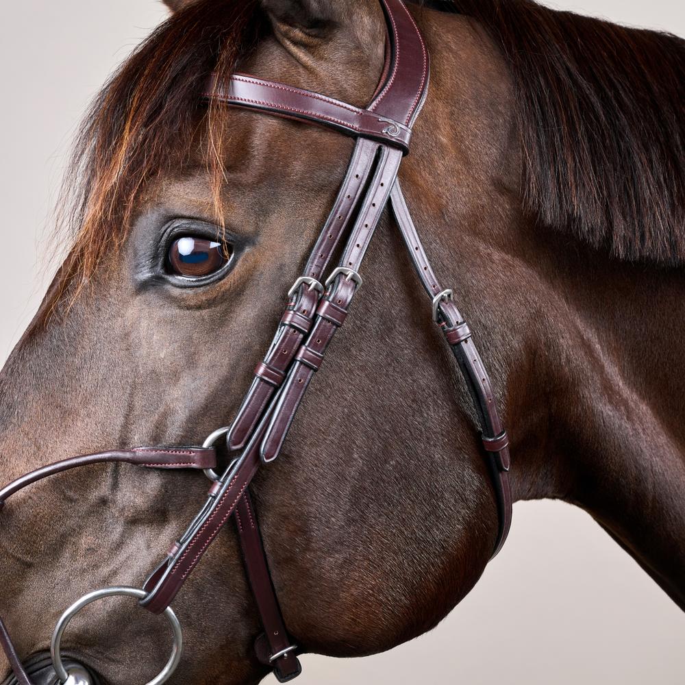 Hybrid Noseband Bridle NE |  | LuxuryLeather — Image 6
