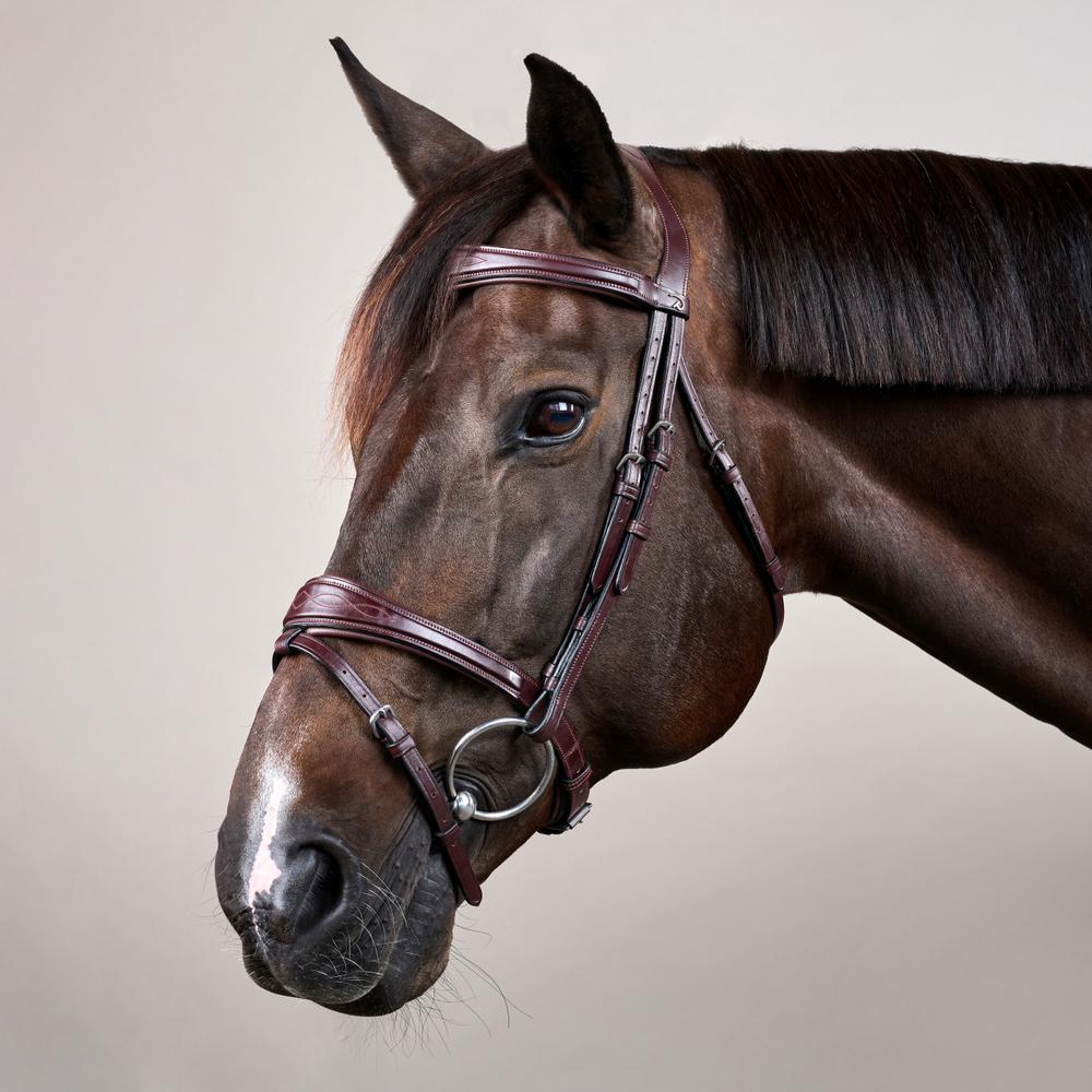 Anatomic Flash Noseband Bridle NE | Dy'on | elegance — Image 7