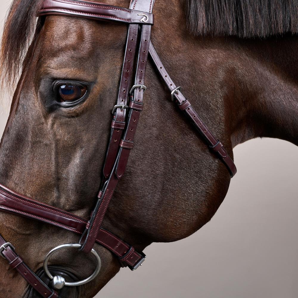 Anatomic Flash Noseband Bridle NE | Dy'on | elegance — Image 8