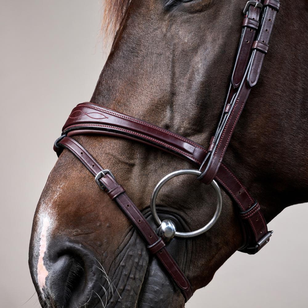 Anatomic Flash Noseband Bridle NE | Dy'on | elegance — Image 9