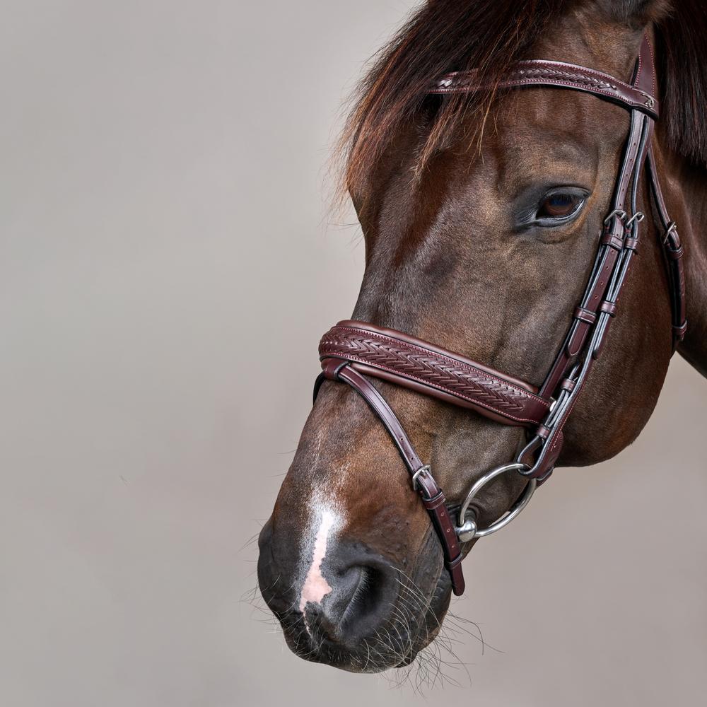 Plaited Flash Noseband Bridle with Pull back NE | Dy'on | PremiumLeather — Image 5