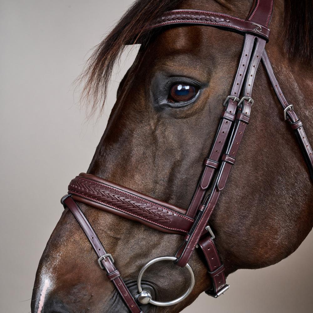 Plaited Flash Noseband Bridle with Pull back NE | Dy'on | PremiumLeather — Image 4