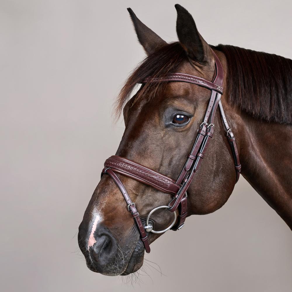 Plaited Flash Noseband Bridle with Pull back NE | Dy'on | PremiumLeather — Image 2