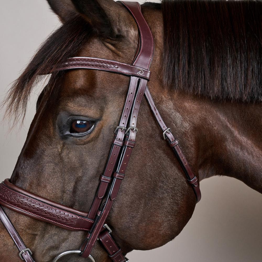 Plaited Flash Noseband Bridle with Pull back NE | Dy'on | PremiumLeather — Image 3