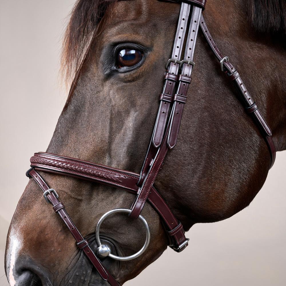 Plaited Flash Noseband Bridle NE | Dy'on | Comfort — Image 4