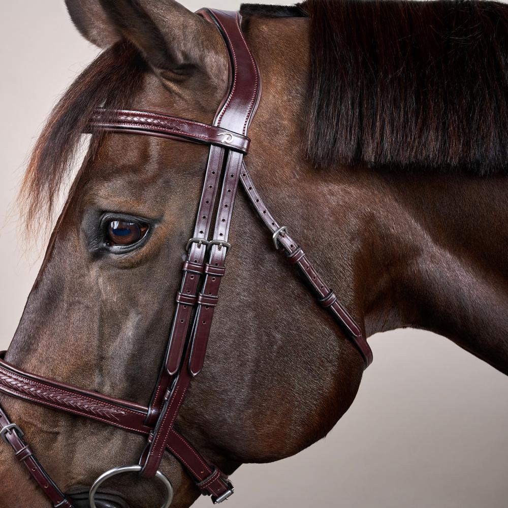 Plaited Flash Noseband Bridle NE | Dy'on | Comfort — Image 3