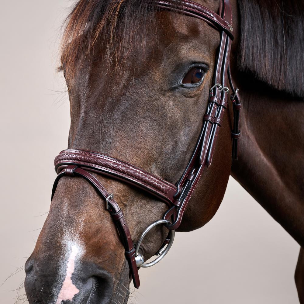 Plaited Flash Noseband Bridle NE | Dy'on | Comfort — Image 5