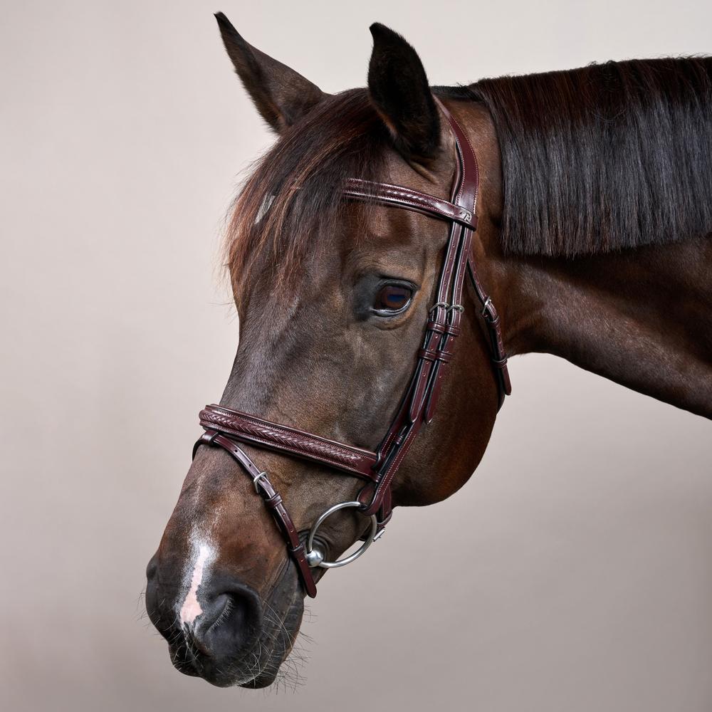 Plaited Flash Noseband Bridle NE | Dy'on | Comfort — Image 2