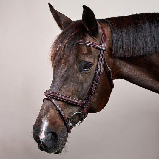 Plaited Flash Noseband Bridle NE | Dy'on | Comfort — Image 2