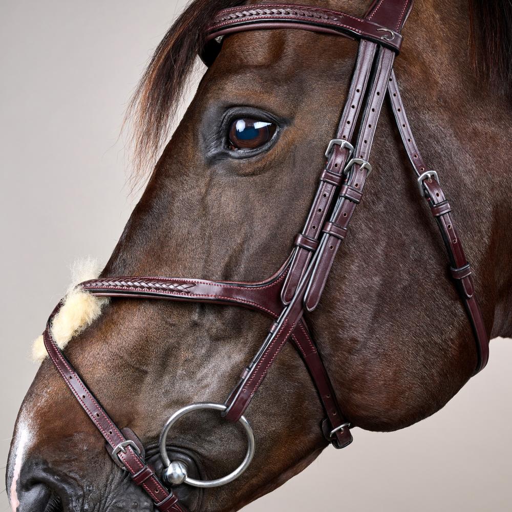 Plaited Figure 8 Noseband Bridle NE |  | premiumleather — Image 8