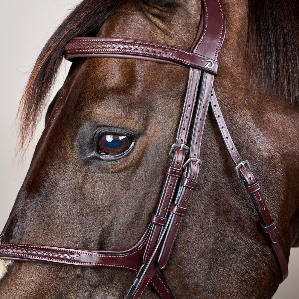 Plaited Figure 8 Noseband Bridle NE |  | premiumleather — Image 10