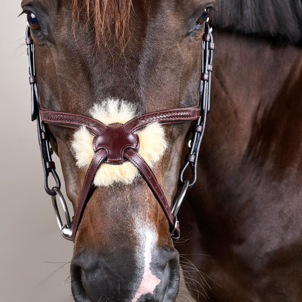 Plaited Figure 8 Noseband Bridle NE |  | premiumleather — Image 9