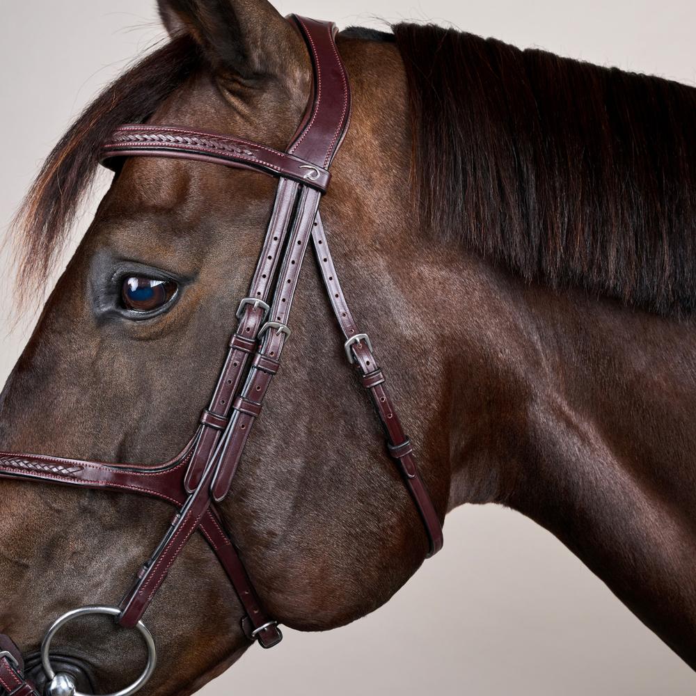 Plaited Figure 8 Noseband Bridle NE |  | premiumleather — Image 11
