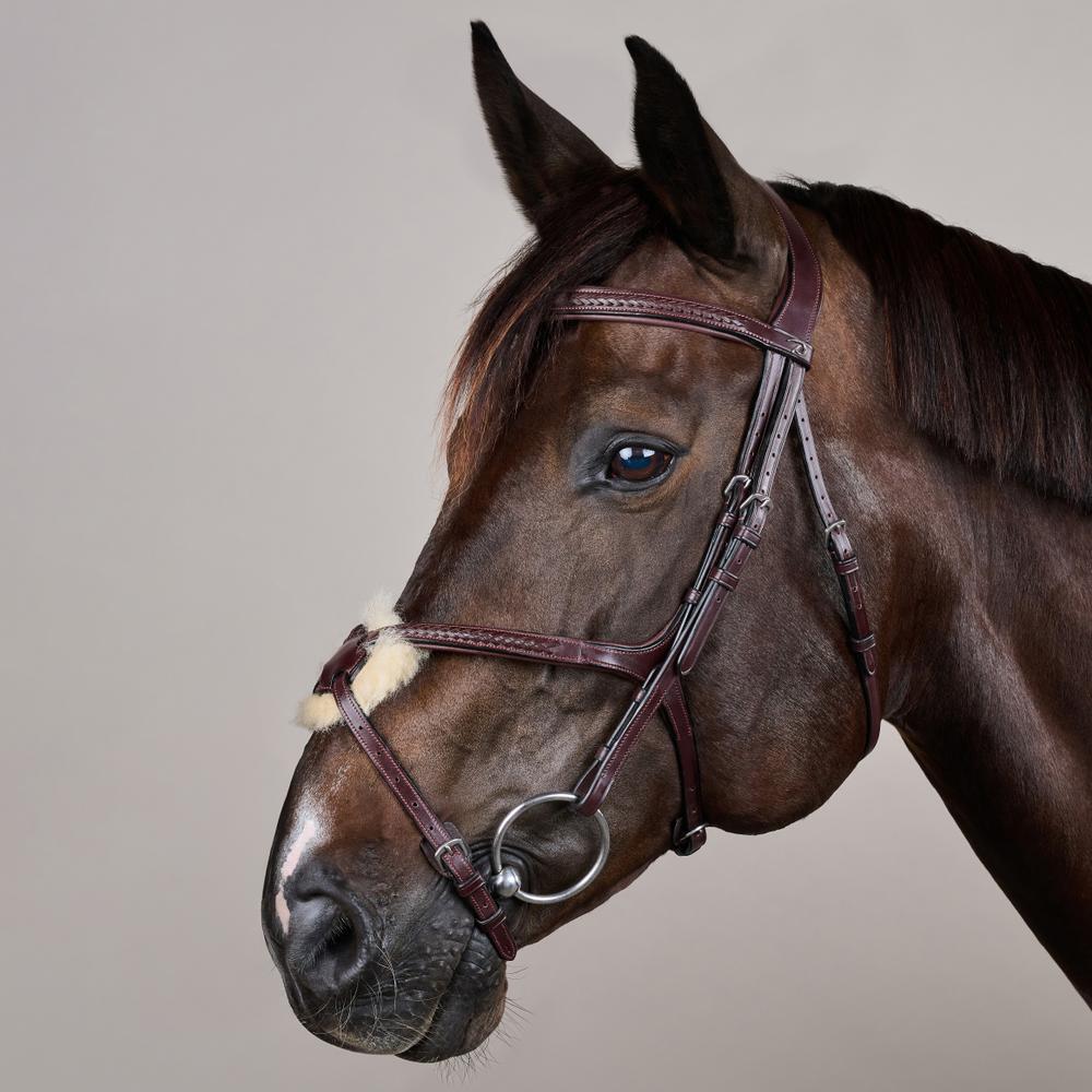 Plaited Figure 8 Noseband Bridle NE |  | premiumleather — Image 12