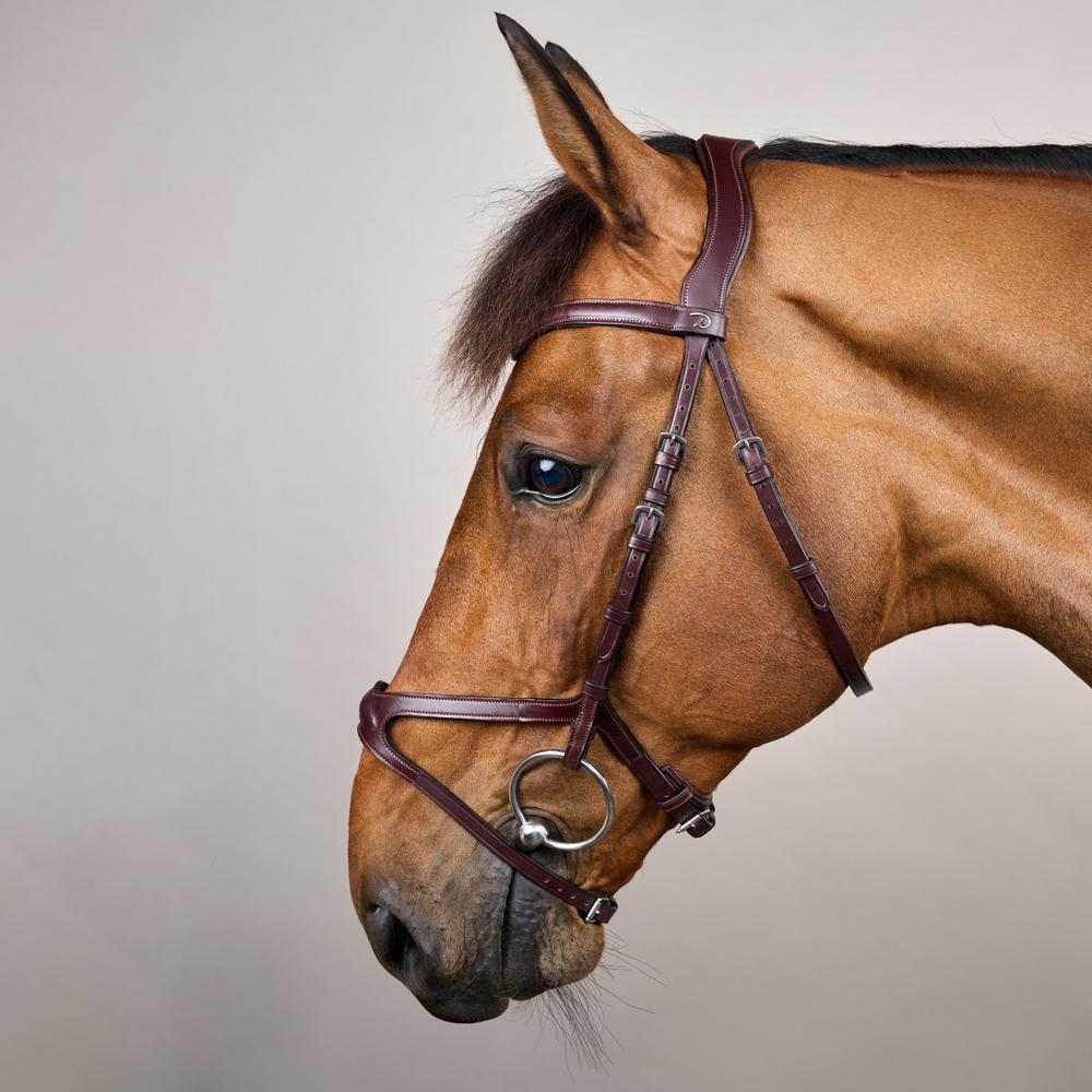 X-Fit Bridle NE | Dy'on | Comfort — Image 3