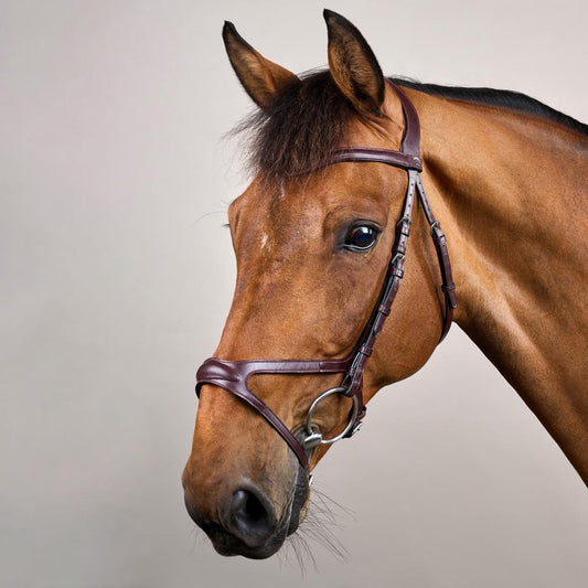 X-Fit Bridle NE | Dy'on | Comfort — Image 2