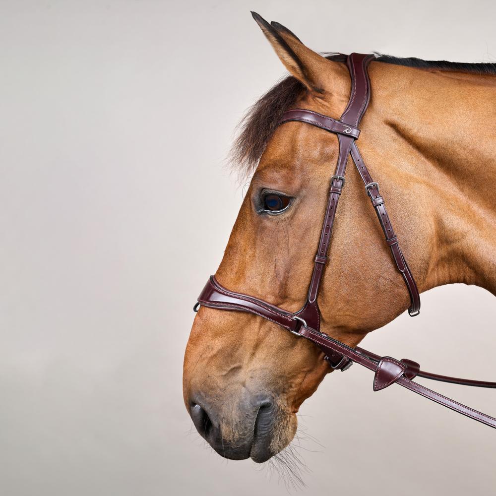 D Motion Bridle NE | Dy'on | Comfort — Image 12