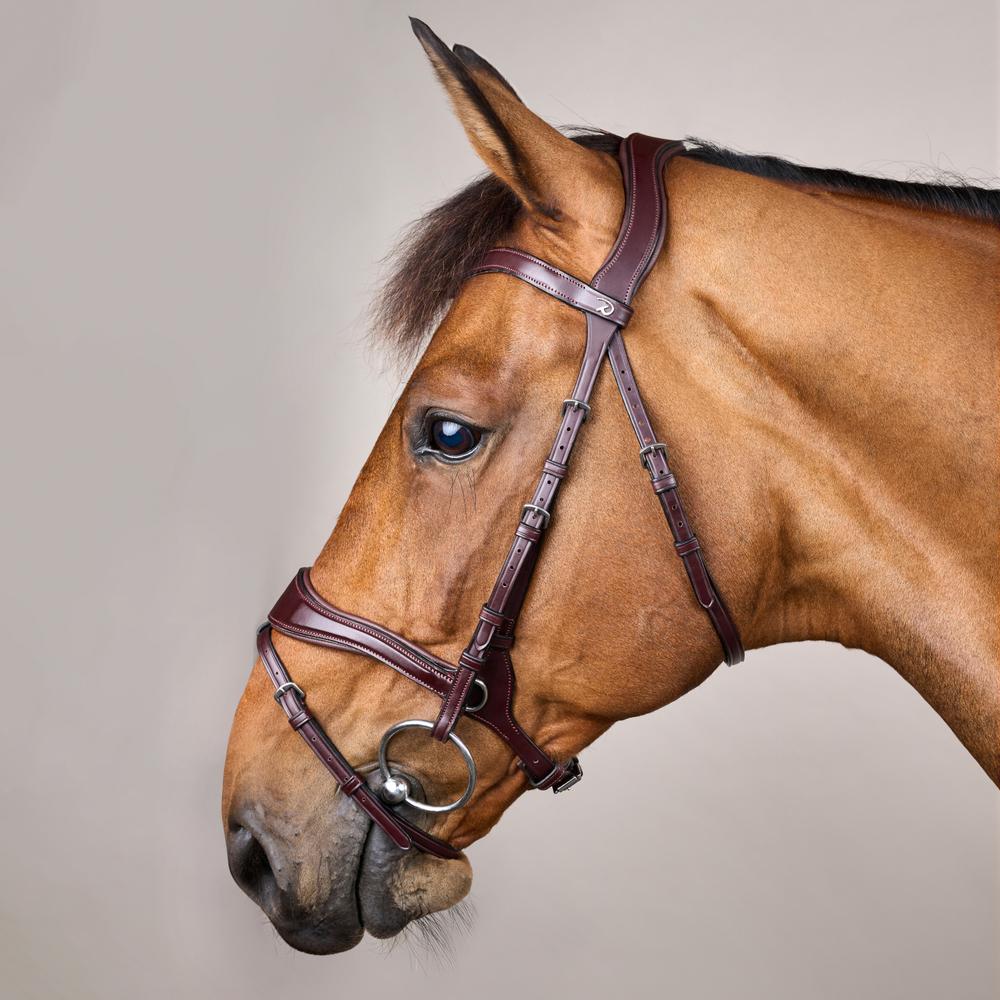 D Motion Bridle NE | Dy'on | Comfort — Image 5