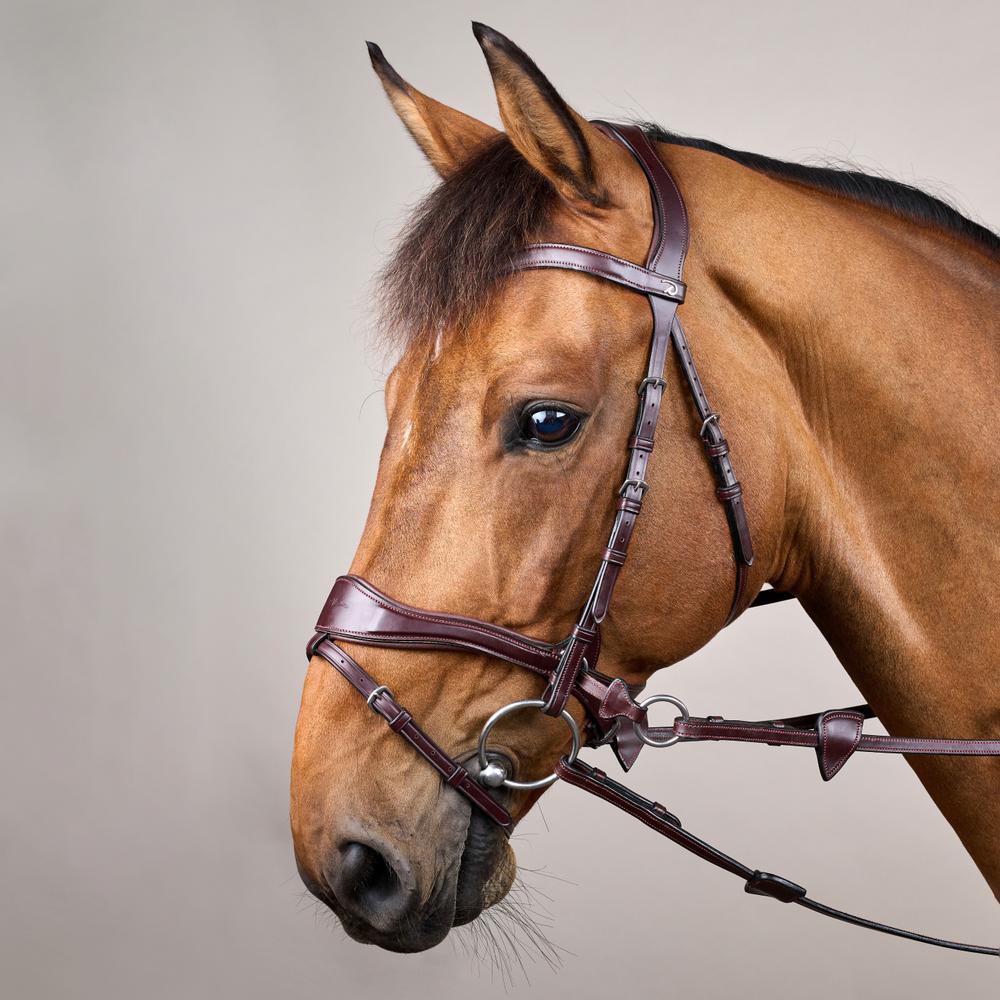 D Motion Bridle NE | Dy'on | Comfort — Image 7