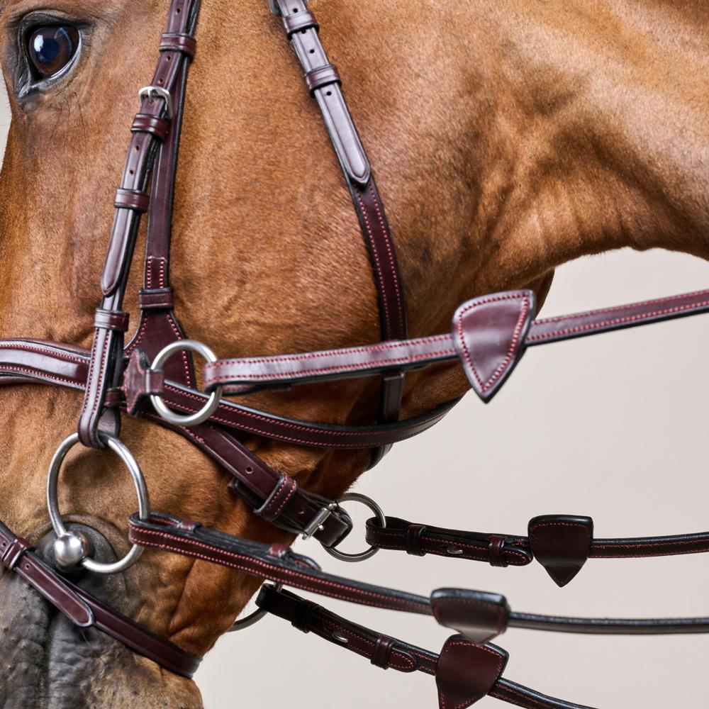 D Motion Bridle NE | Dy'on | Comfort — Image 9
