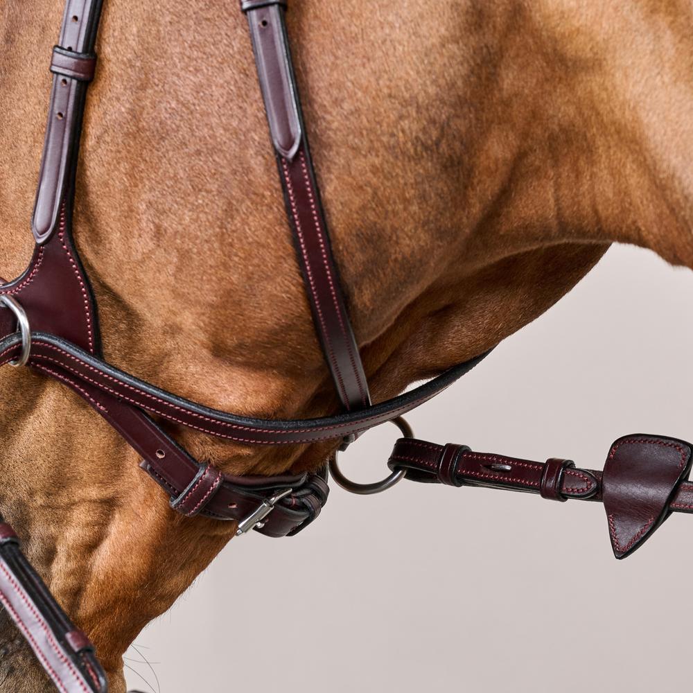 D Motion Bridle NE | Dy'on | Comfort — Image 10