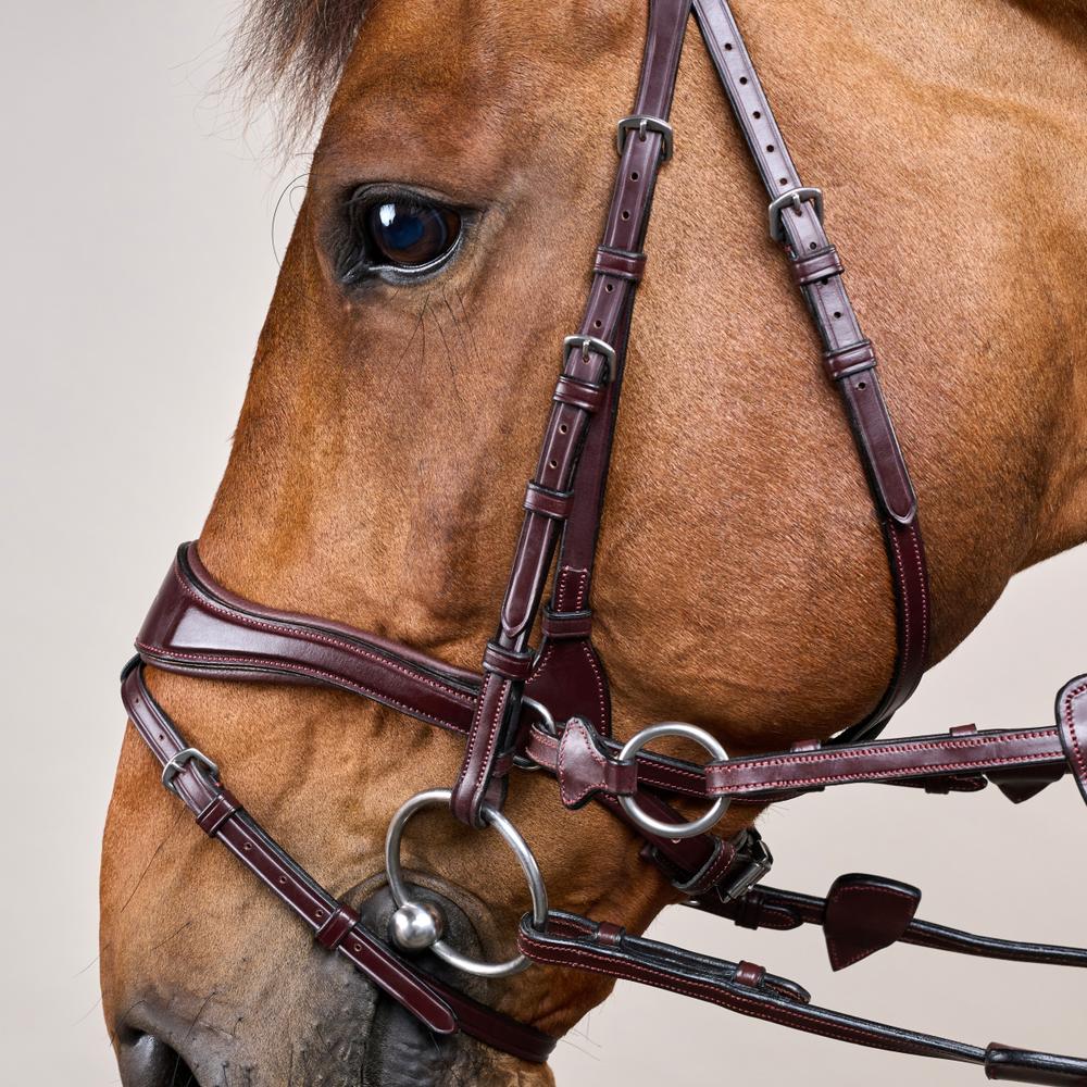 D Motion Bridle NE | Dy'on | Comfort — Image 8