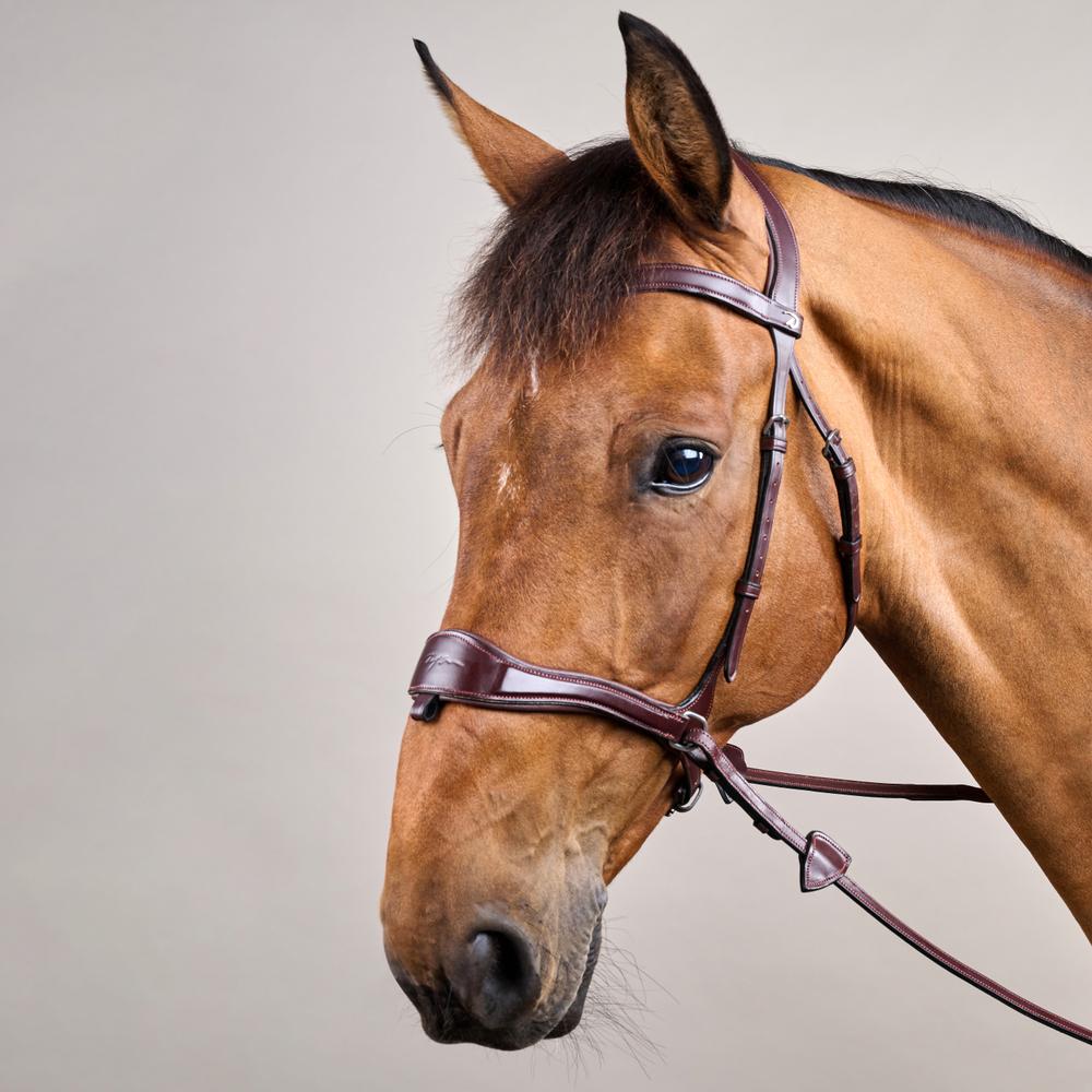 D Motion Bridle NE | Dy'on | Comfort — Image 11