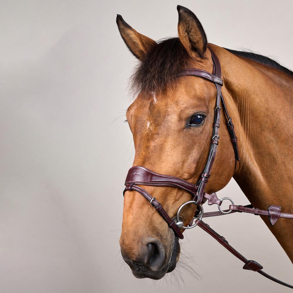 D Motion Bridle NE | Dy'on | Comfort — Image 6