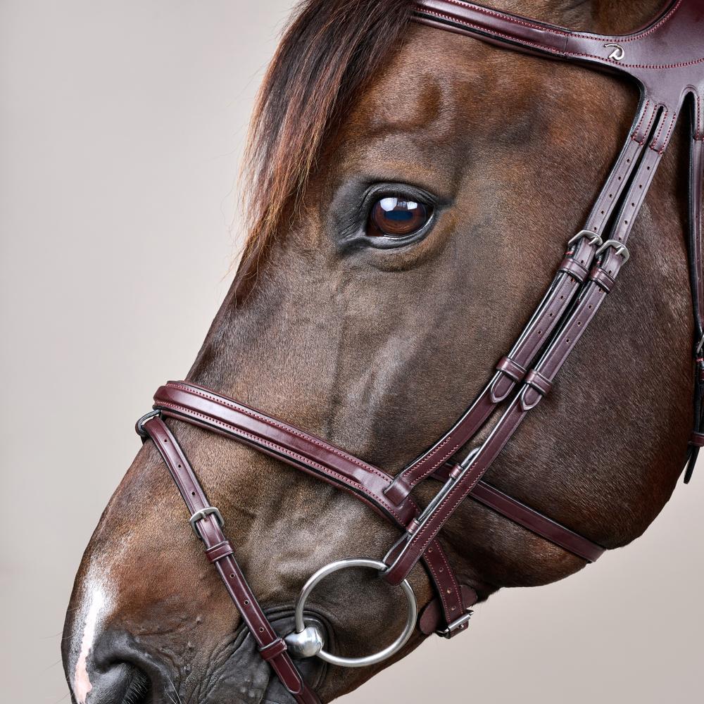 Difference Bridle NE | Dy'on | DurableLeather — Image 4