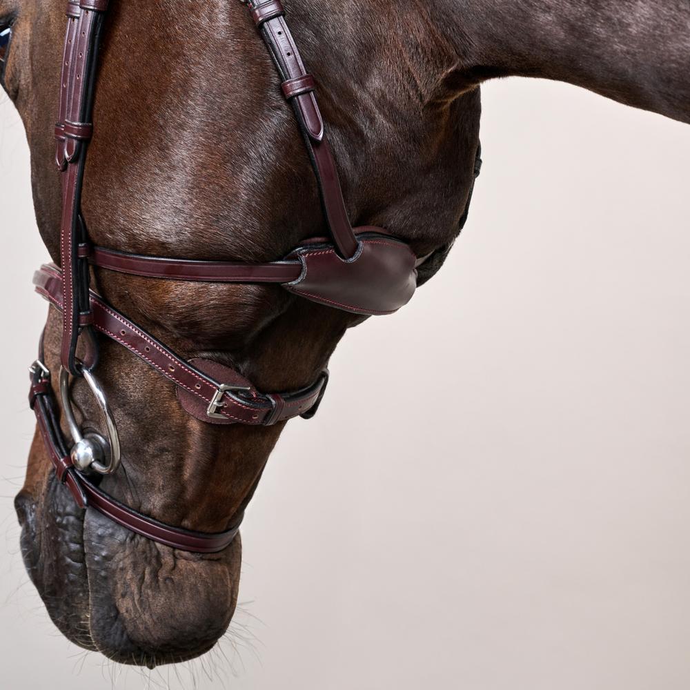 Difference Bridle NE | Dy'on | DurableLeather — Image 7