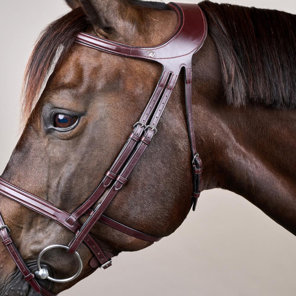 Difference Bridle NE | Dy'on | DurableLeather — Image 3