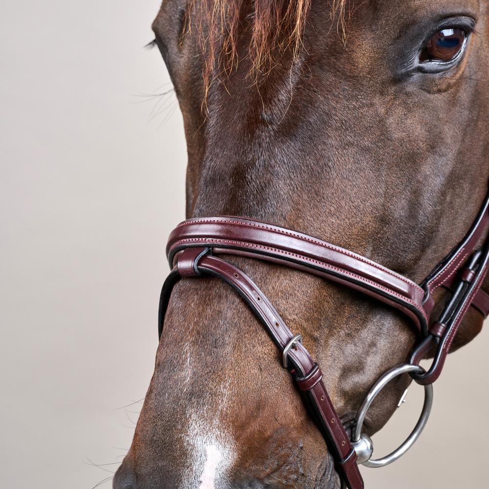 Difference Bridle NE | Dy'on | DurableLeather — Image 6