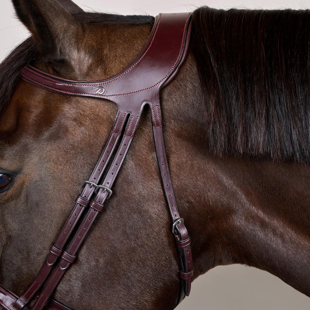 Difference Bridle NE | Dy'on | DurableLeather — Image 5