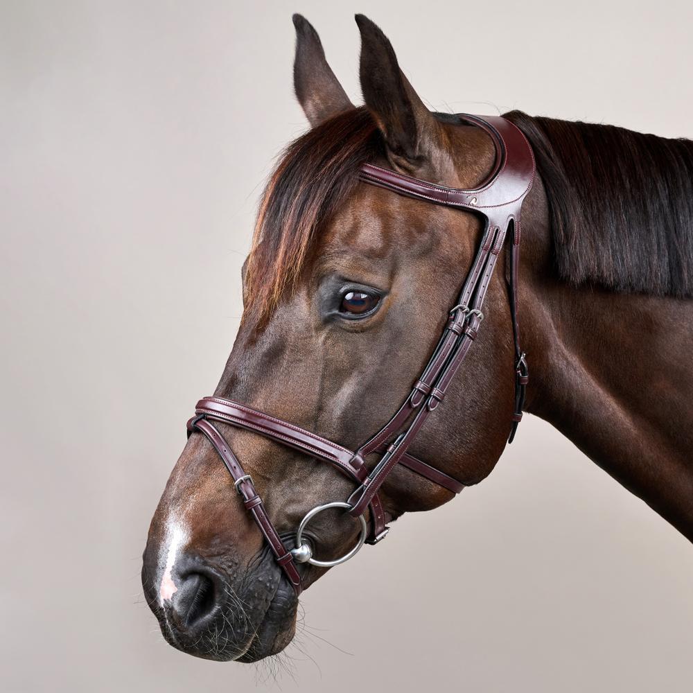 Difference Bridle NE | Dy'on | DurableLeather — Image 2